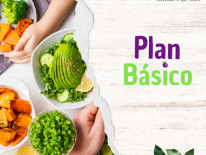 PLAN BÁSICO 40 DIAS